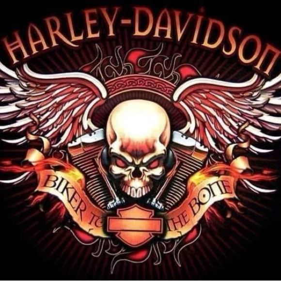 Examples of Harley magnets - Picture 7 of 16